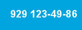 929 123-49-86